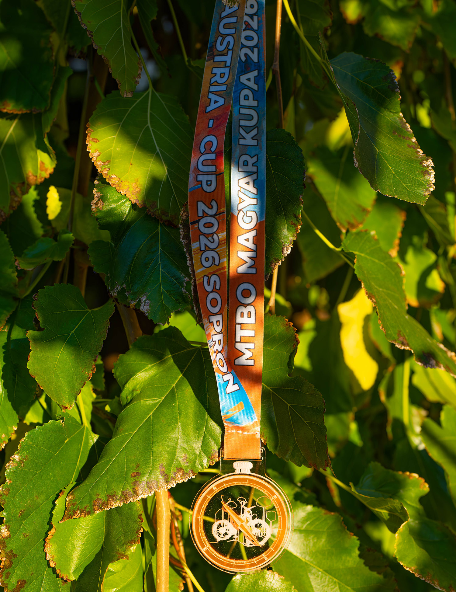 Sopron MTBO Medaille